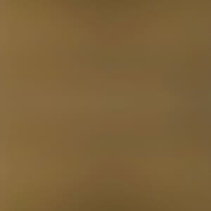 BM — LIGHT BRONZE