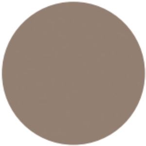 G101 BRONZE GLASS